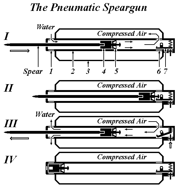 The principle of pneumatic speargun work