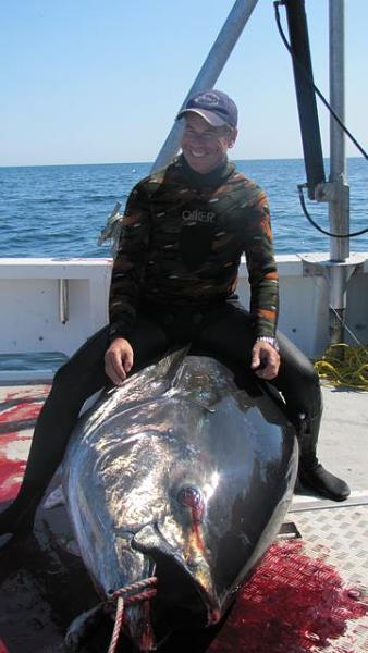 ATLANTIC BLUEFIN TUNA CAPTURE